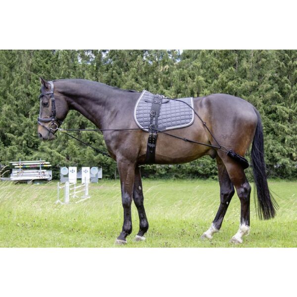 Lunging Training System Aid by HKM from Germany Fits Cob - Horse Like Pessoa